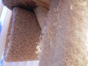 Cat Tree Carpet Scratching Post