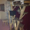 A Creative Approach to Building Cat Trees Cat Tree Kingdom Example