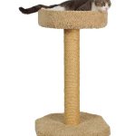 Molly and Friends Bed on Scratching Post 35 Inch