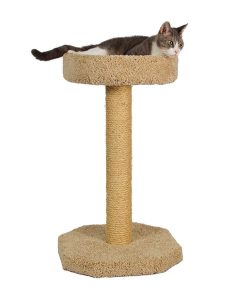 Molly and Friends Bed on Scratching Post 35 Inch