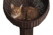 Revie: Kitty Ball Rattan Cat Bed (28 Inch)