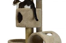 Review: Molly and Friends “Jungle Gym” Cat Tree (66 Inch)
