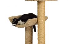 Review: Molly and Friends “Simple Sleeper” Cat Tree (37 Inch)